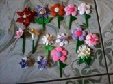 flores pra aplicações